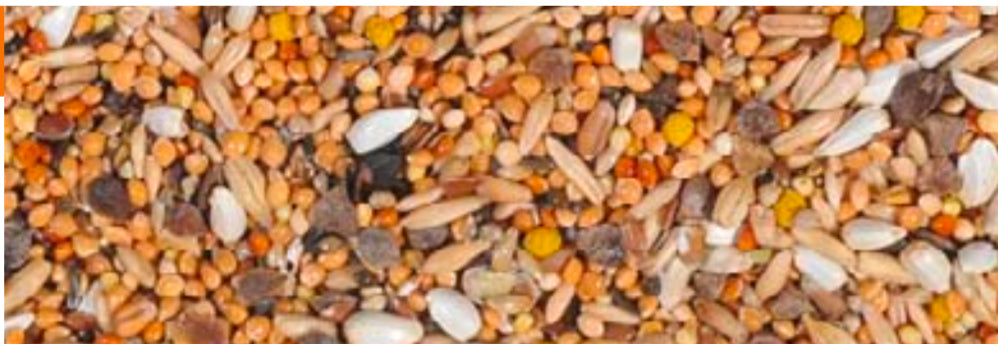 Lovebirds seed mix