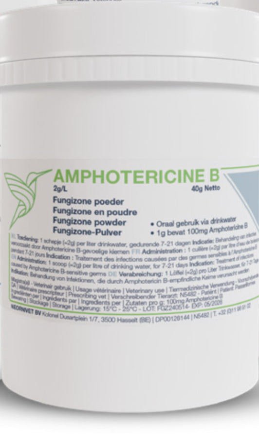 AMPHOTERICINE B 40 gr