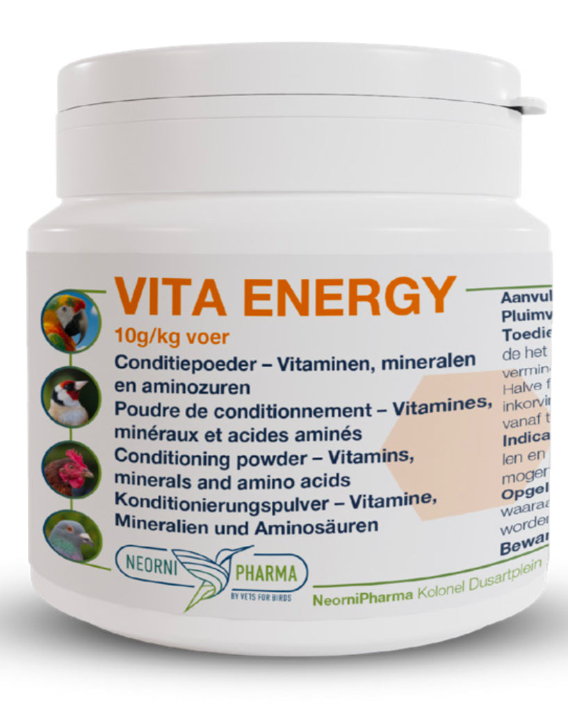 VITA ENERGY