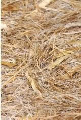 2GR Cocco-Sisal-Meliga-Brattea Packaging