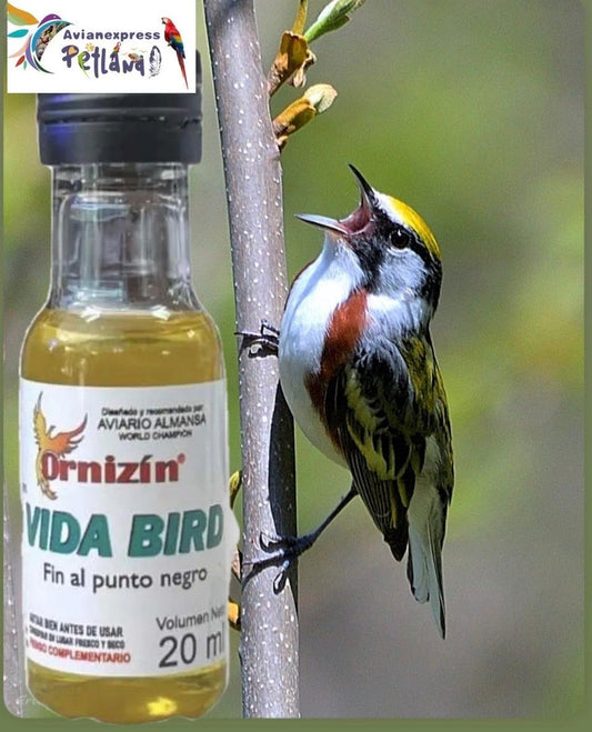 Vida bird