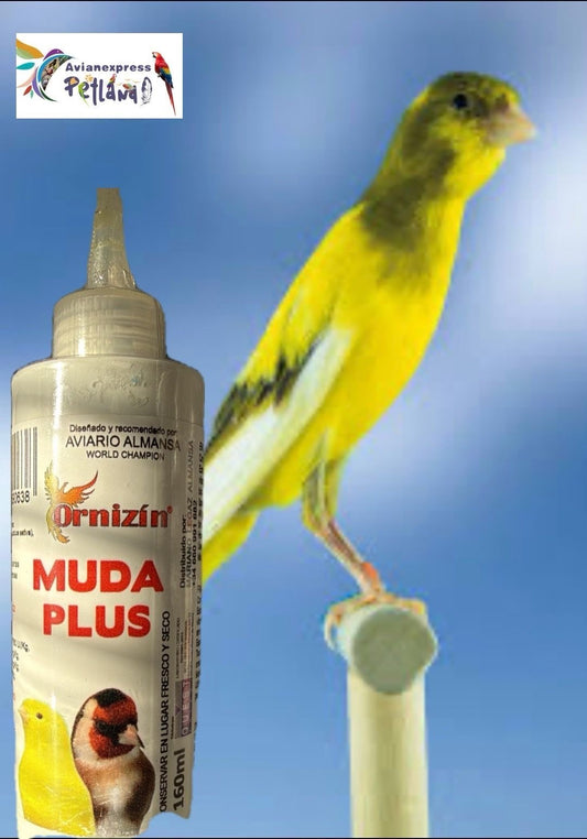 Muda Bio ( Muda plus )