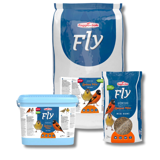 SPINUS MIX – FLY INDIGENI