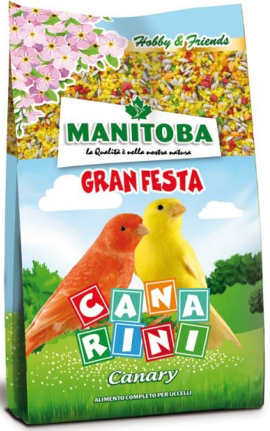 Canarini Gran Festa