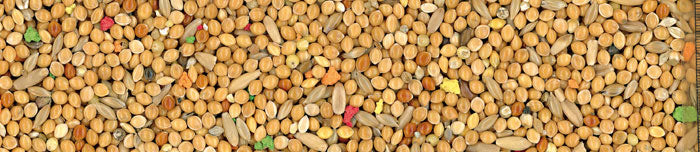 GRAN FESTA COCORITE MIX