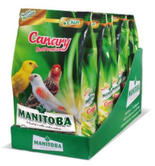 Canary Best Premium