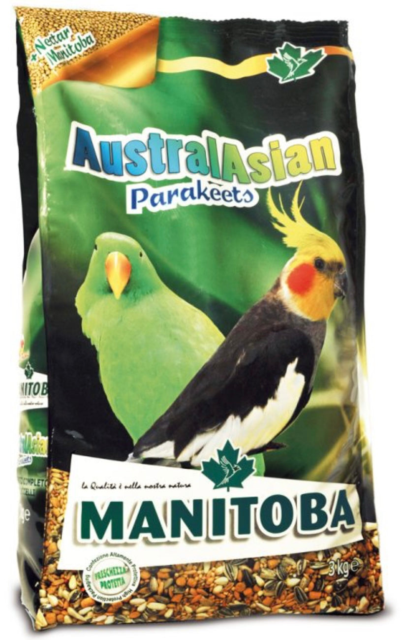 Australasian Parakeets