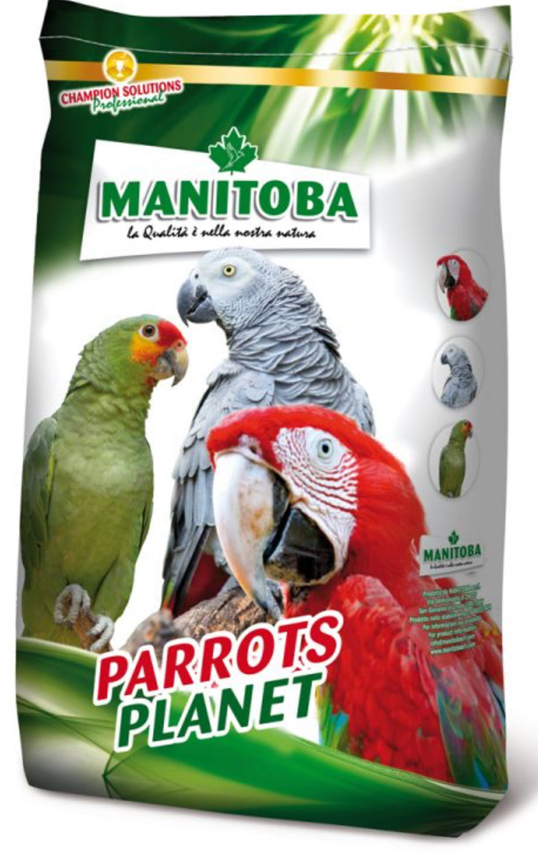 African Parrots