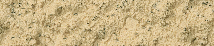 Patee Candido White Soft