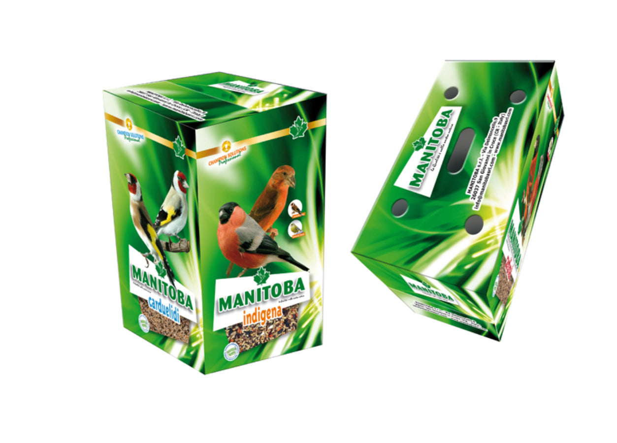 Small bird transport box