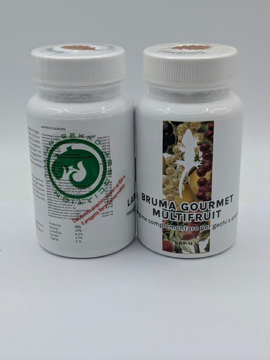 BRUMA GOURMET: Multifruits 60 gr